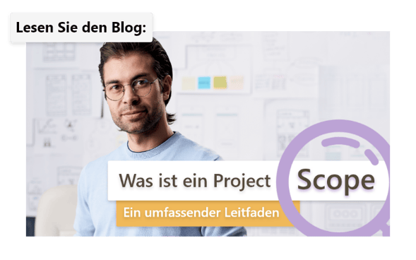 Project scope