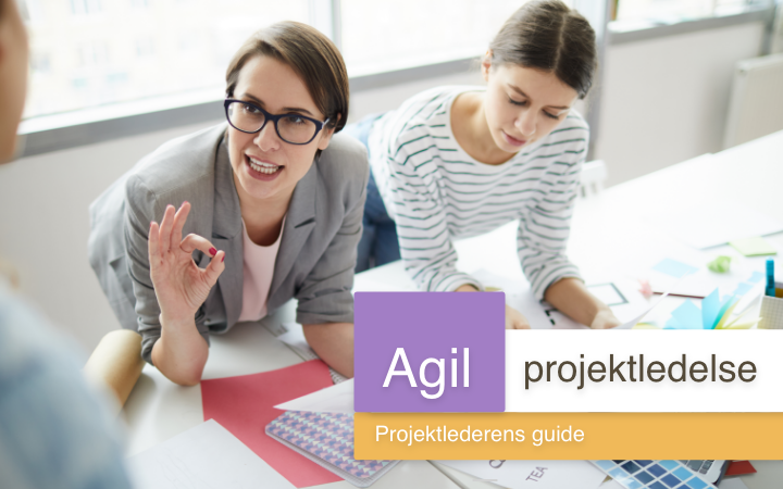 Agile project management: The project manager's guide to success