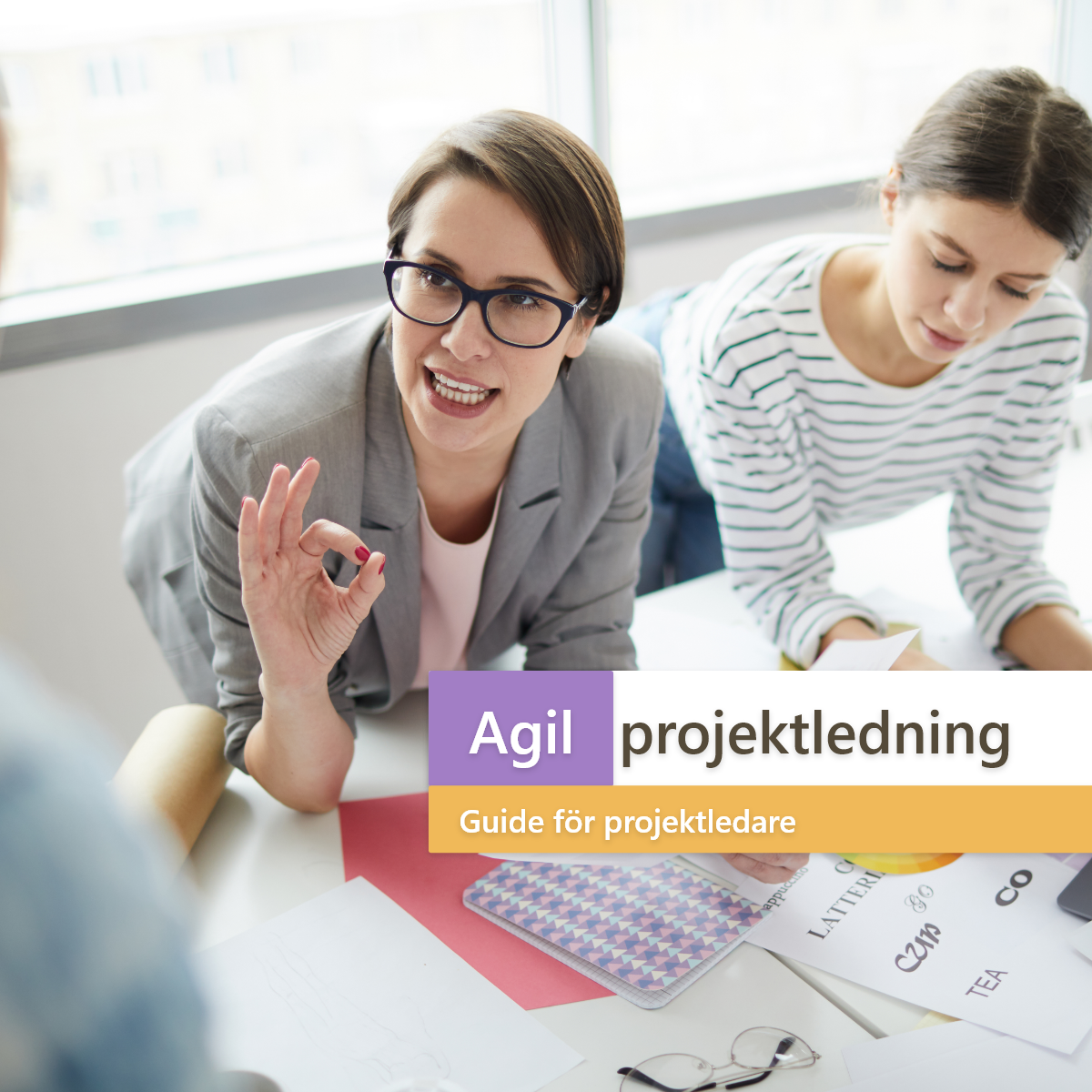 Agil projektledning: projektledarens guide till framgång