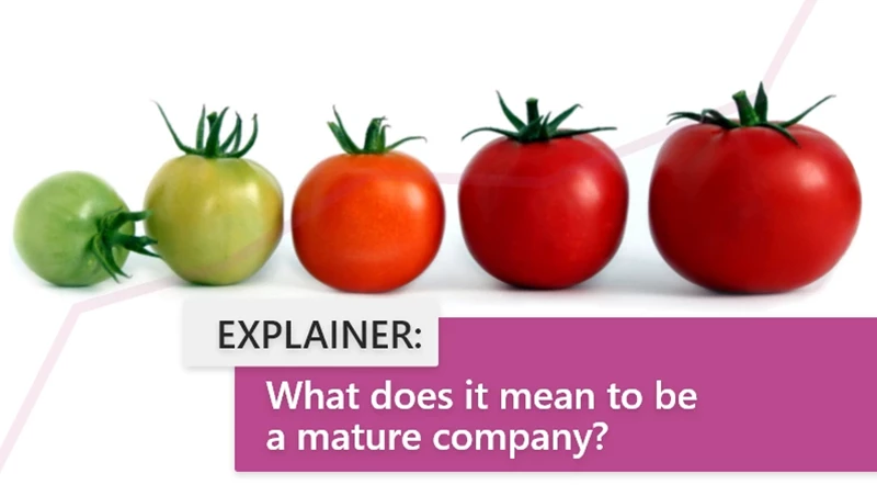 What does it mean to be a mature company?